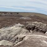 2023OTRA_705 (May 07, 2023)